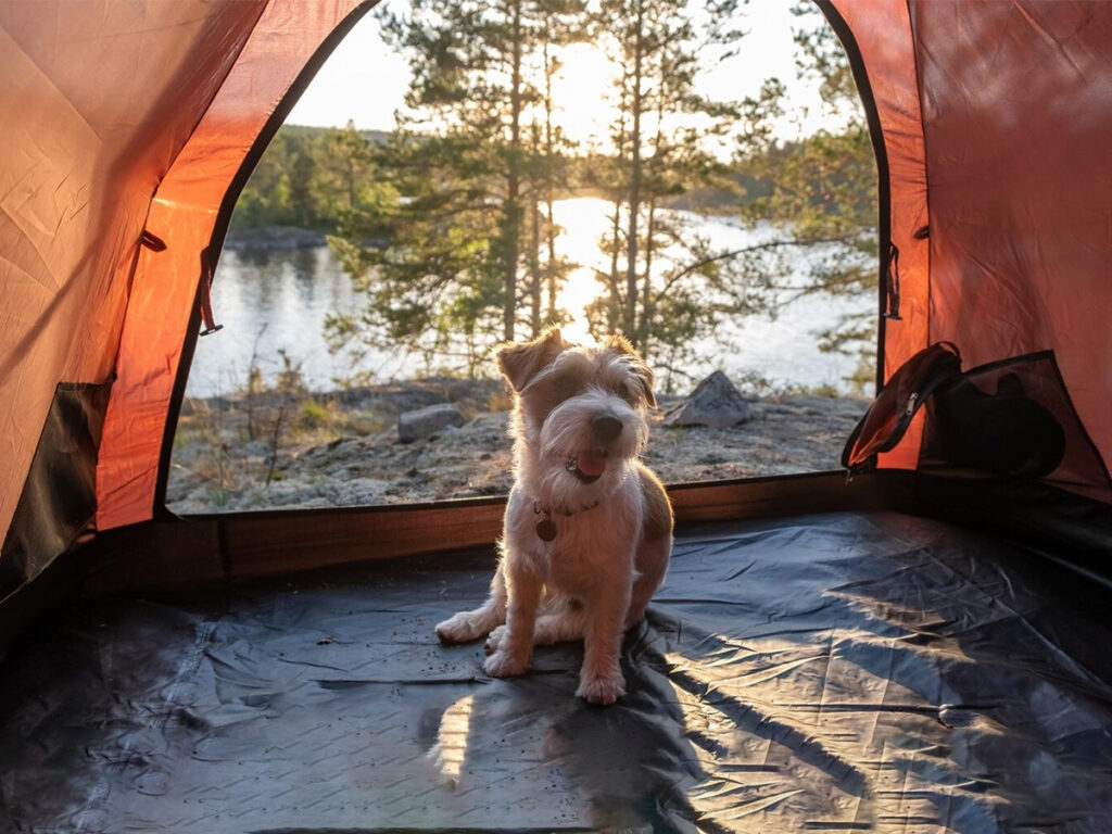 How to Keep Warm Camping in A Tent: 5 Safety Tips [In Steps]