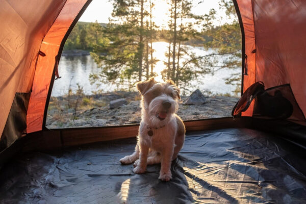 How to Keep Warm Camping in A Tent: 5 Safety Tips [In Steps]