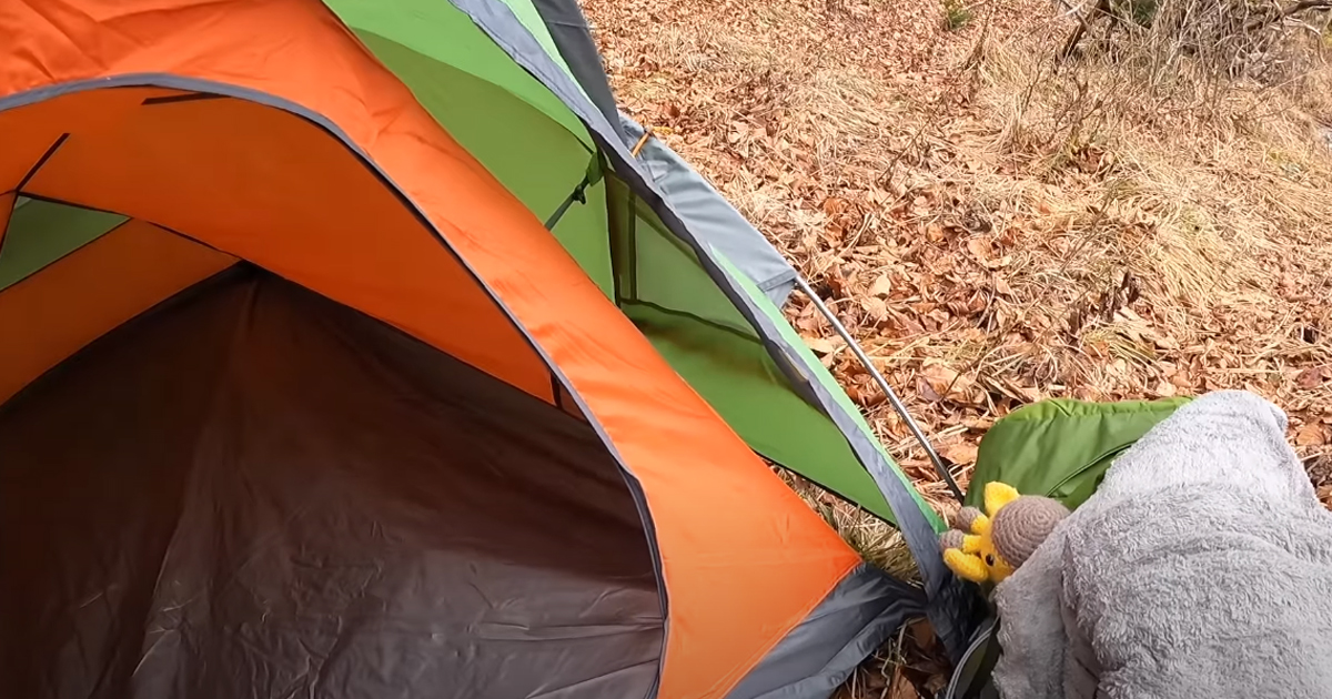 Camping Tips for Training Your Cat to Walk on a Leash